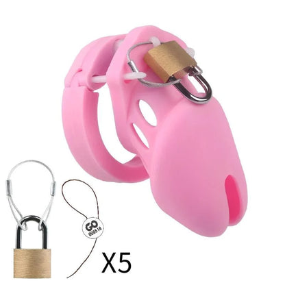 Cage Rosalys rose avec cadenas en laiton et cinq scellés numérotés