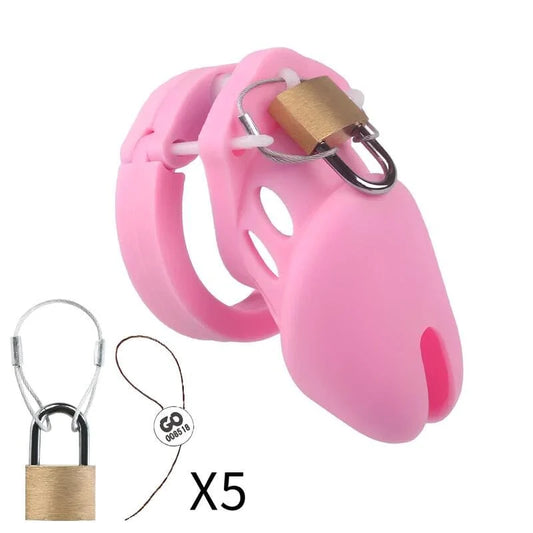 Cage Rosalys rose avec cadenas en laiton et cinq scellés numérotés